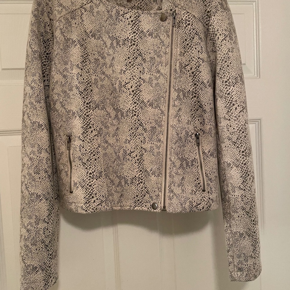 Fun and sophisticated jacket